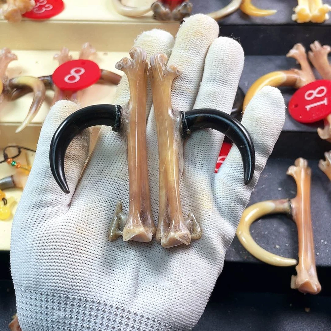 鸡骨（鸡脚）把件手把件文玩