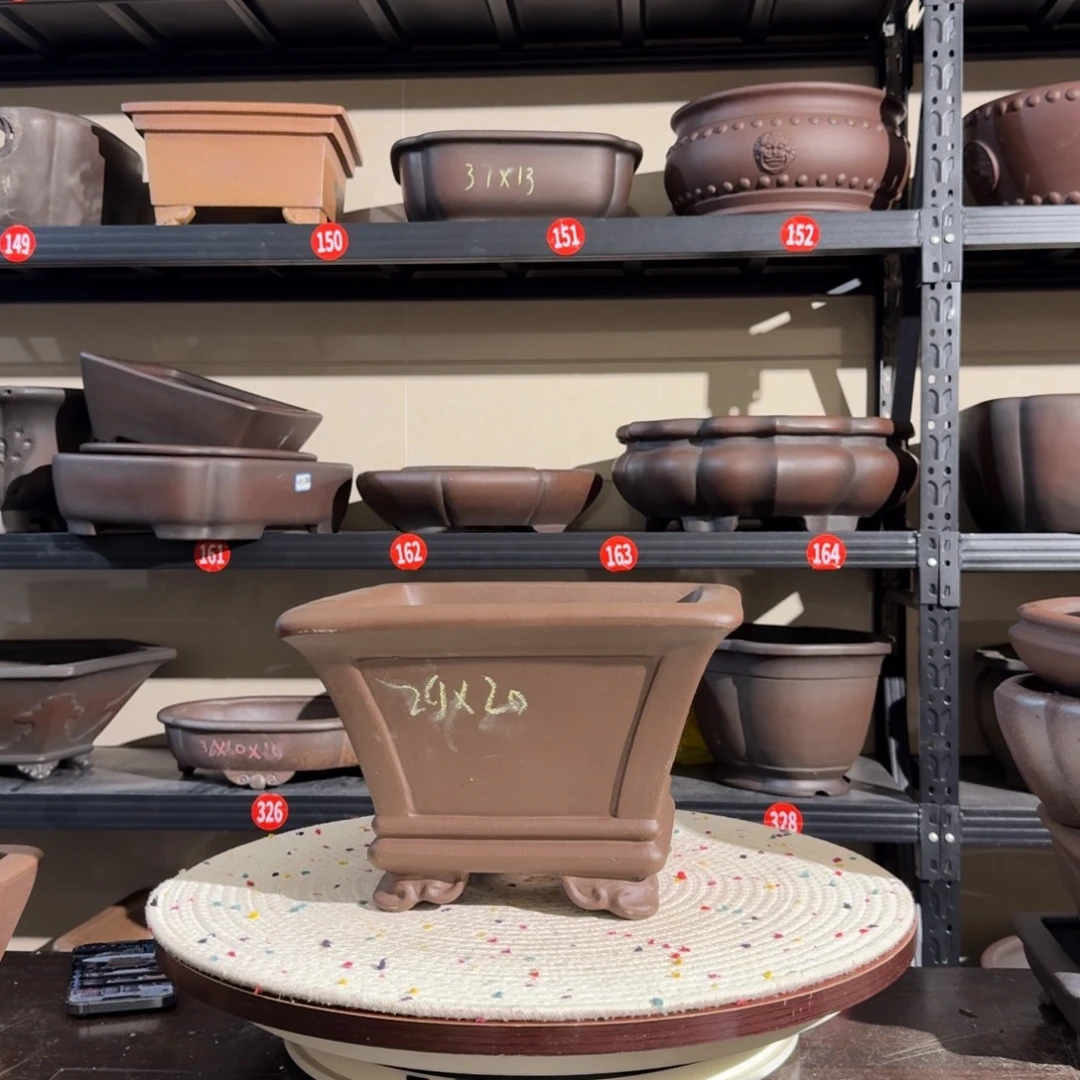 紫砂呜呜呜我的宝我的小可爱