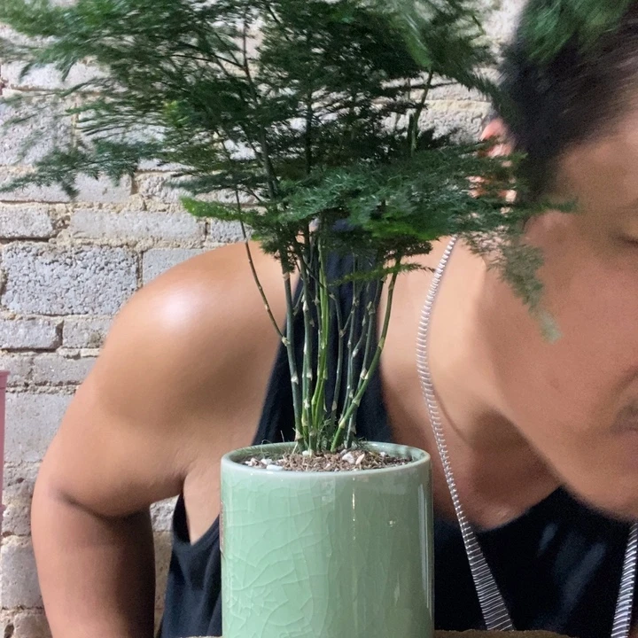 完全开放退款拉黑一物一拍206