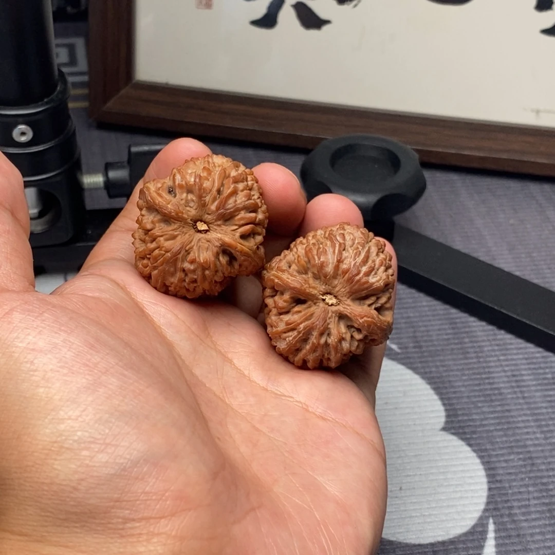 把件文玩核桃全品无修树头大蒜头