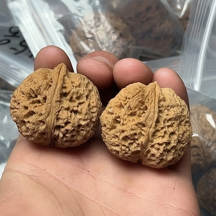 核桃60号铁狮元宝40尺