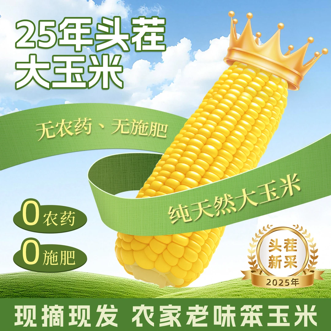 新鲜现摘笨玉米农家老味玉米粗粮饱腹玉米无农药个别有虫天津市