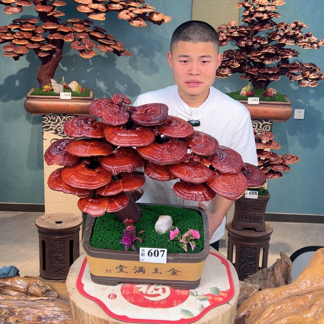 无花朵888888888888