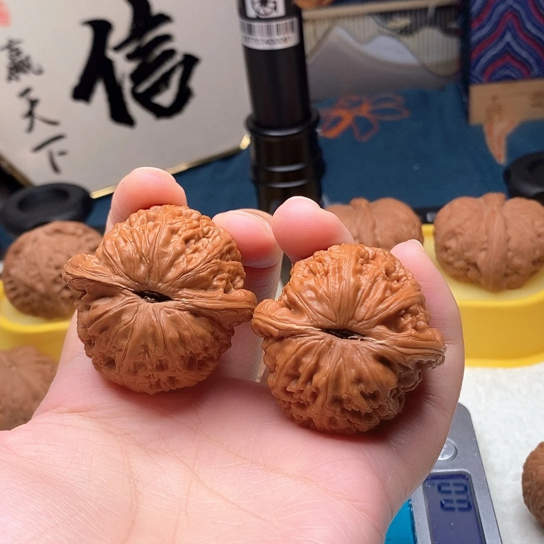 43尺寸打底元宝色差文玩核桃