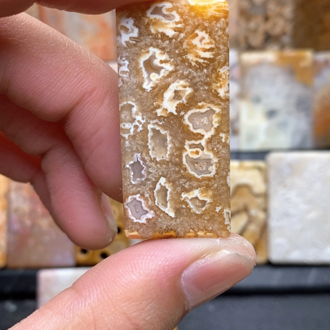 空***后硅化珊瑚（珊瑚玉）合金1