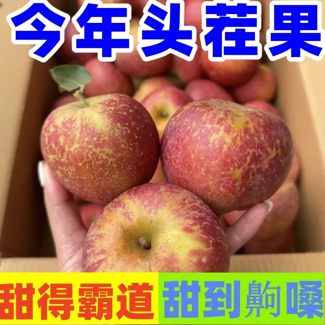 四川大凉山冰糖心丑苹果新鲜应季脆甜多汁水果产地直发