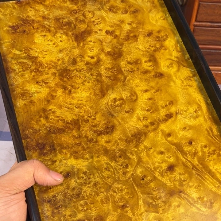 木黄金樟留疤超大托盘