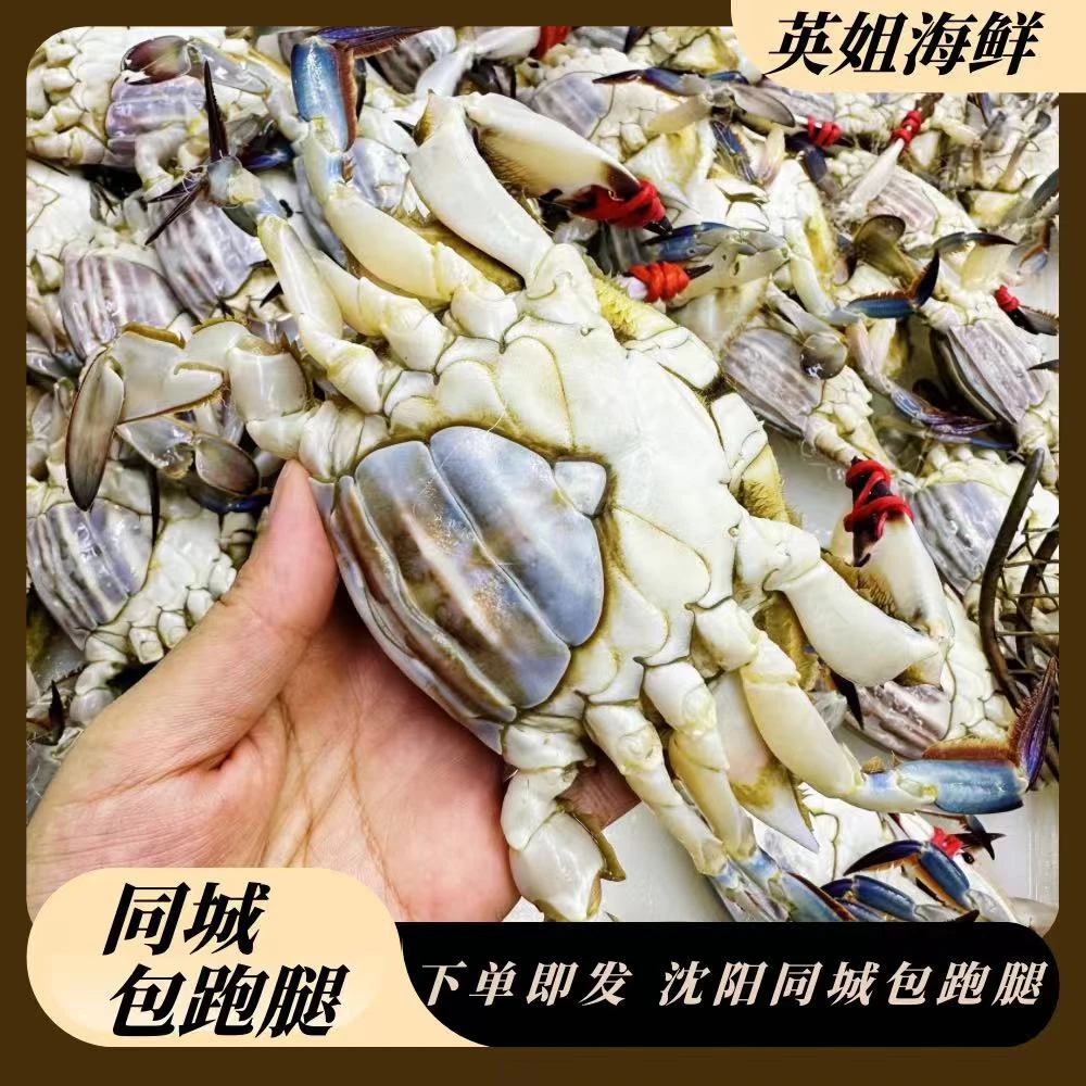 东港吃肉母3斤起【仅限沈阳市内三环】【保鲜不保活】一只3-5两左右