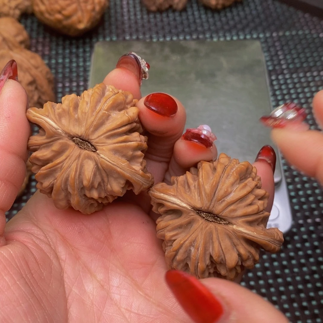 全品楼子16尺寸文玩核桃