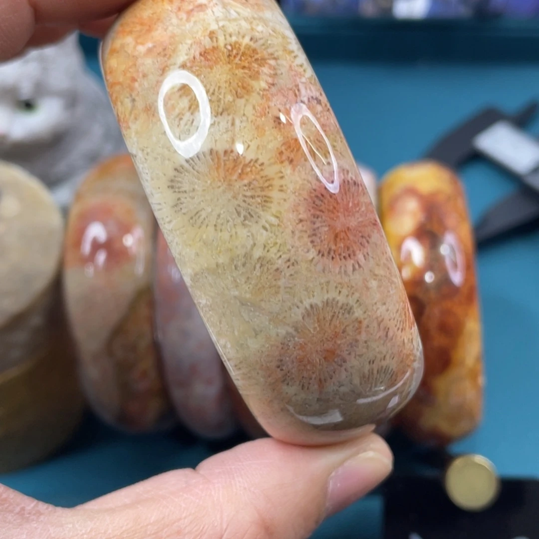 未镶嵌手镯硅化玉