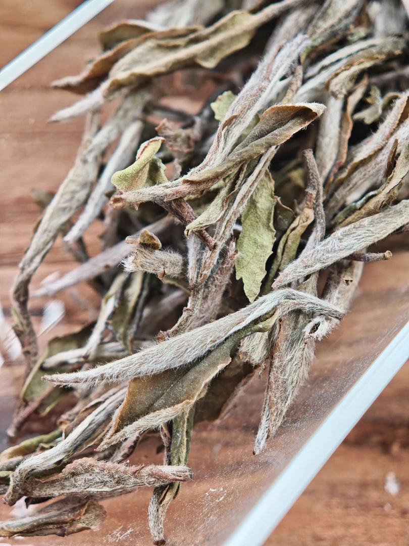 福鼎白茶2018荒野牡丹王