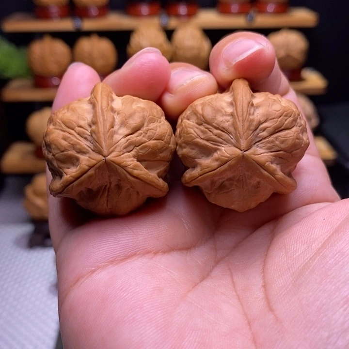 核桃云铁甲壳虫三棱2号
