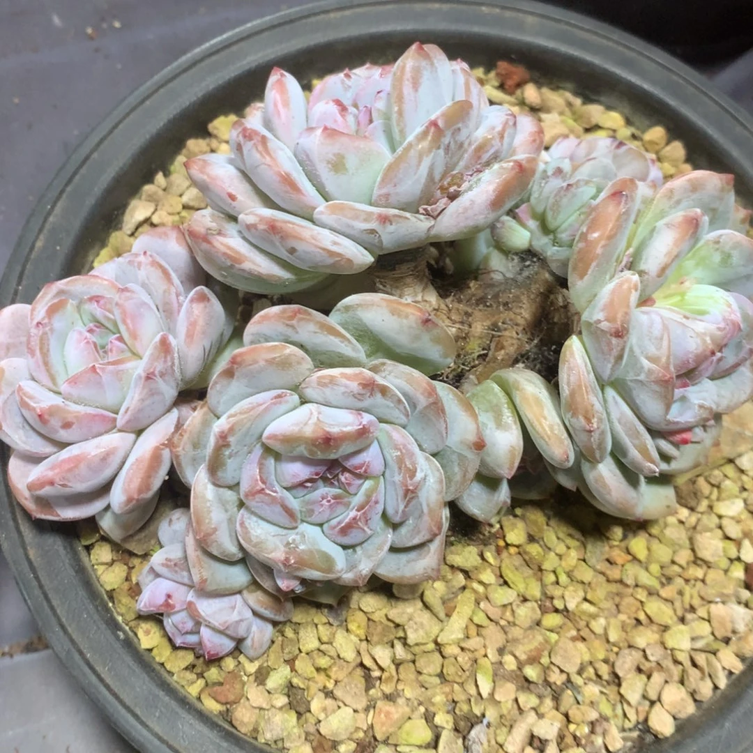 哈哈哈哈哈哈哈哈哈哈哈