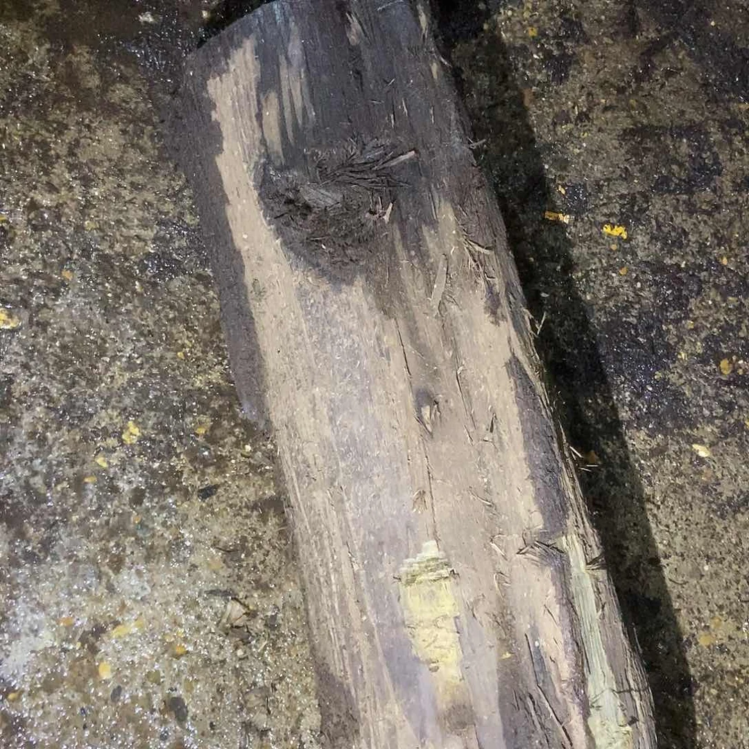 用****8金丝楠阴沉木毛料