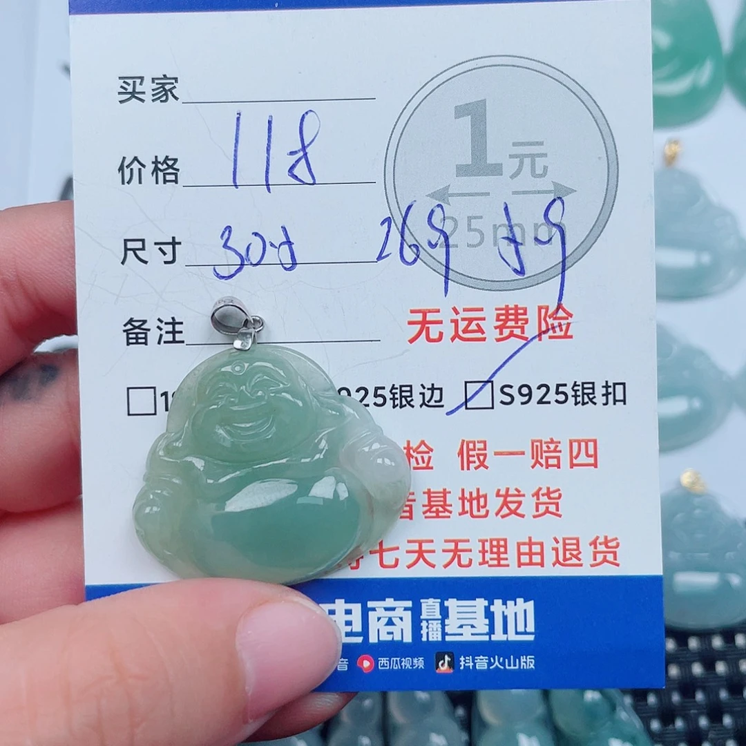 翡翠银S925镶嵌颈饰