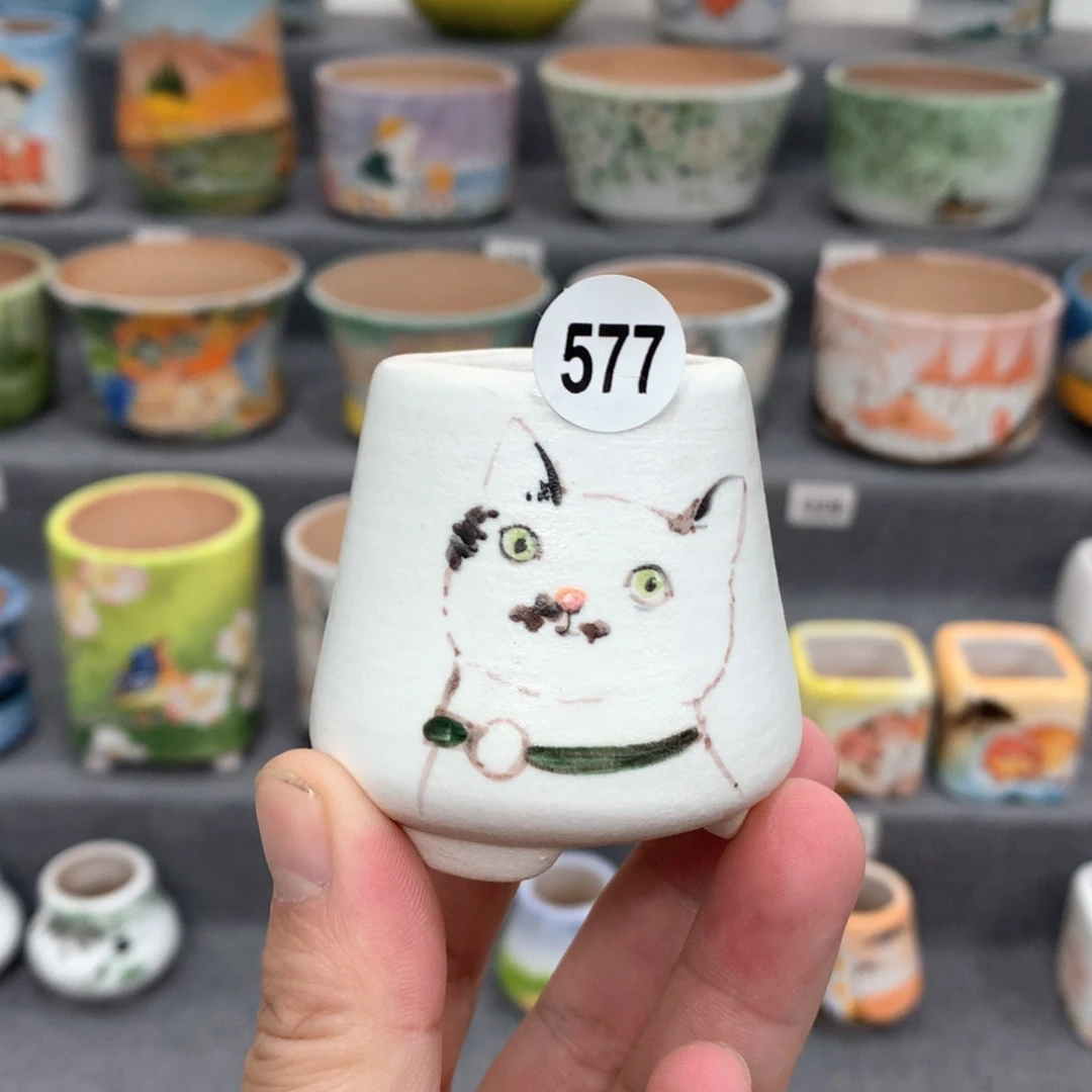 罐双十一85折活动专场
