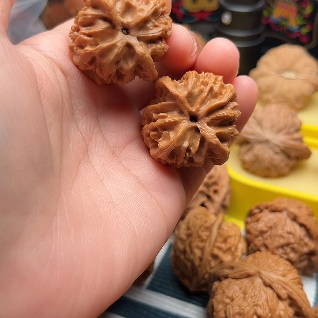 大叶紫檀（黑酸枝木类）