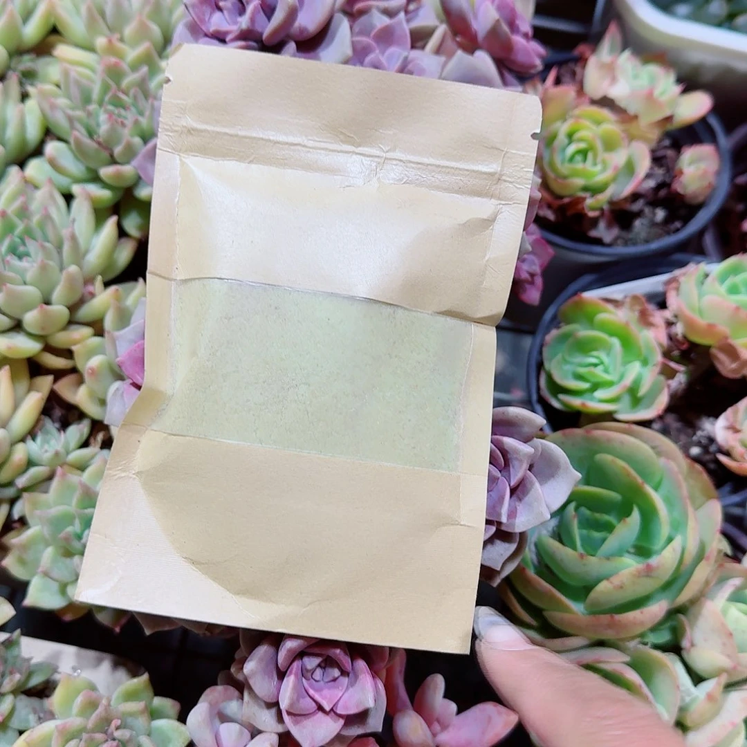 液体肥多肉植物精品咯