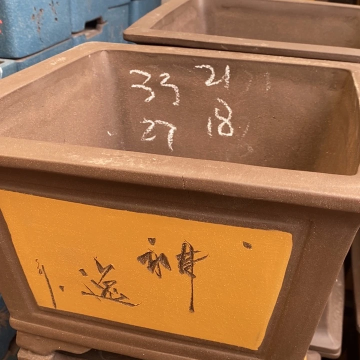 紫砂花盆只顾看手机和电脑