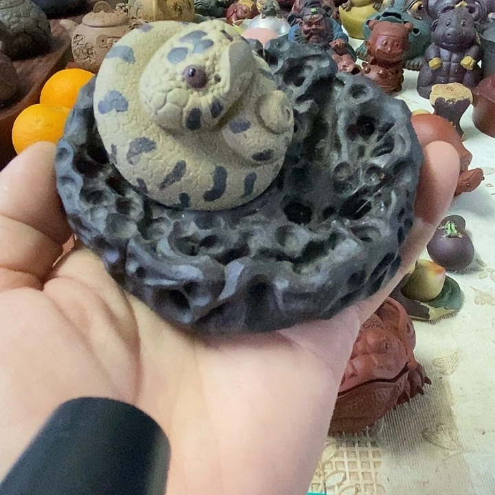 紫砂紫砂紫砂紫砂紫砂紫砂
