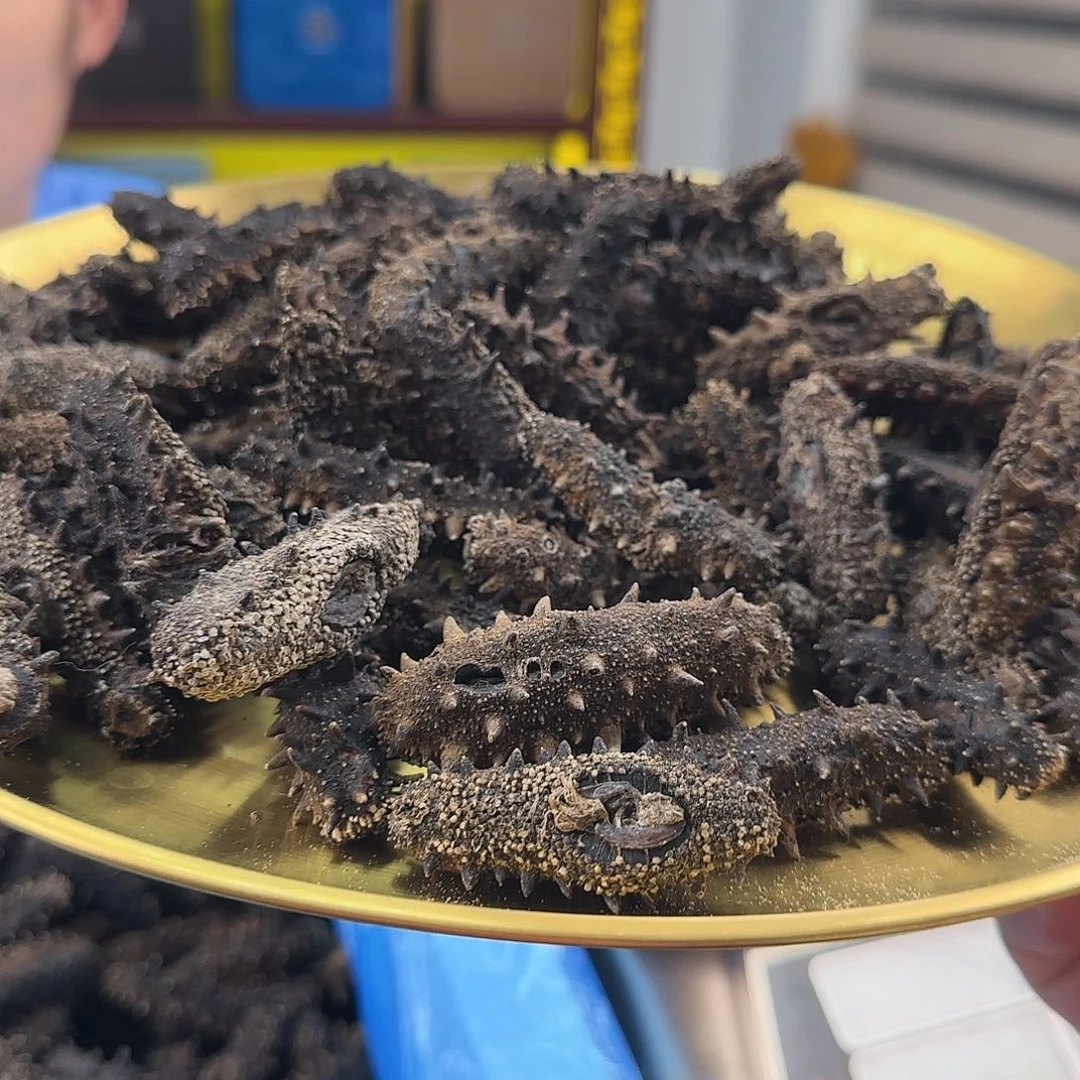 中国大陆大连淡干海参