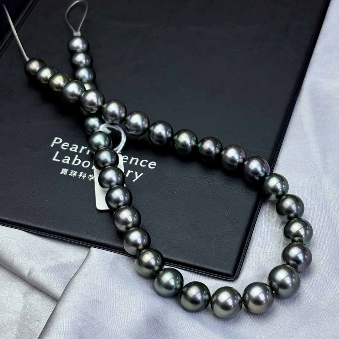 【小彤专属】【特大收藏孔雀】大溪地真科研11-13多样性/发一RY8182