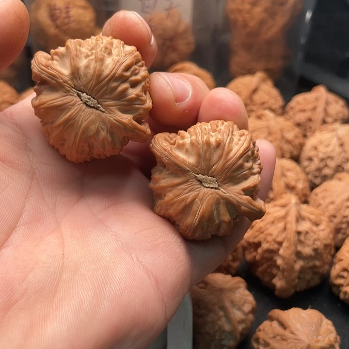 孙****核桃全品闷尖白狮子