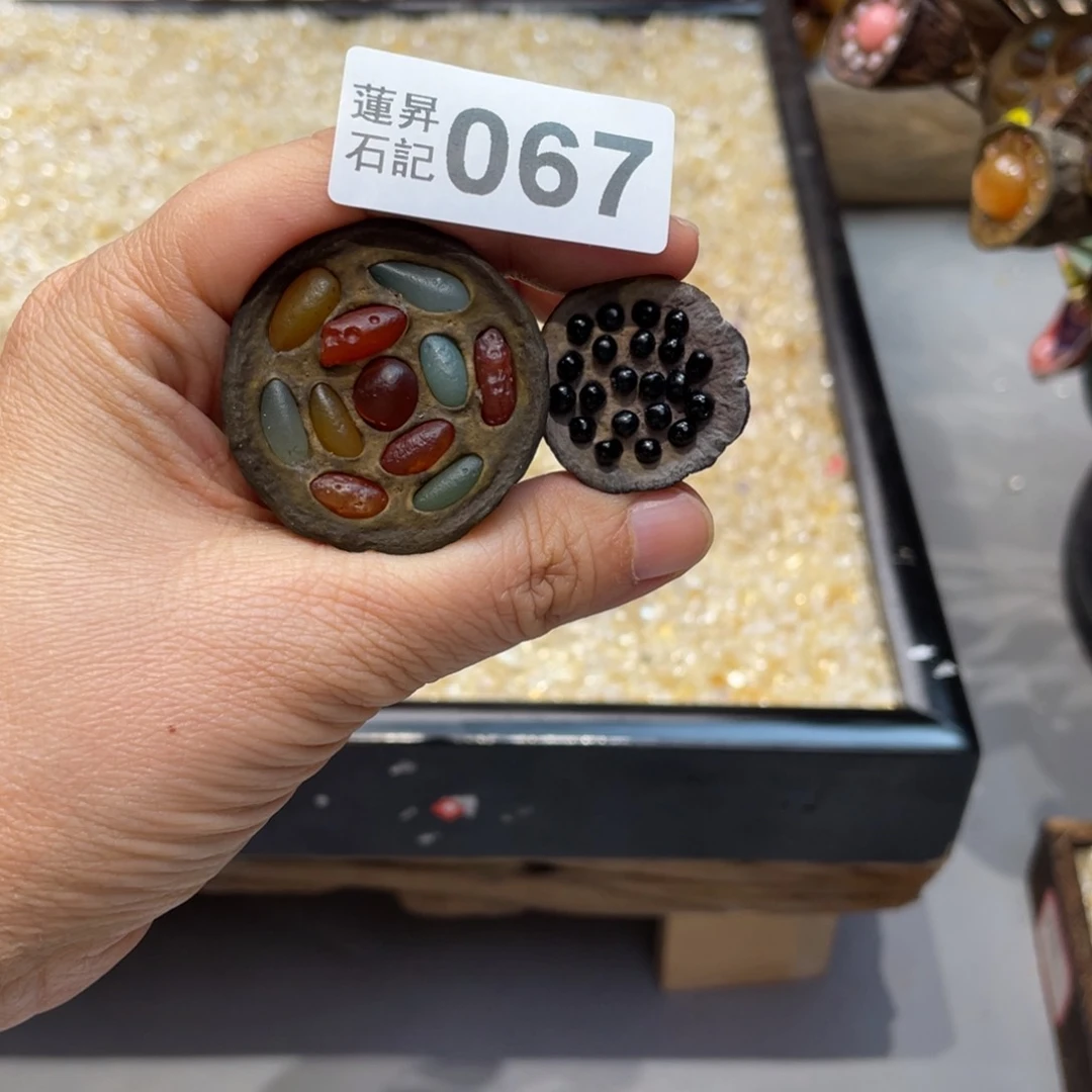 核桃木/黑胡桃（胡桃木）梦**见067
