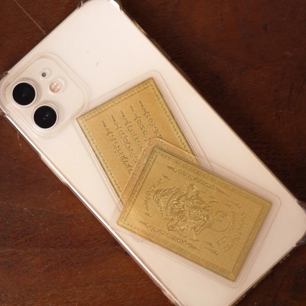 象鼻五条双面卡贴