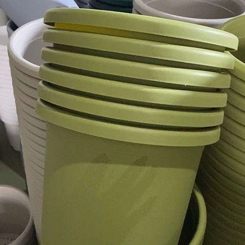 树脂微瑕5号6个无托果绿