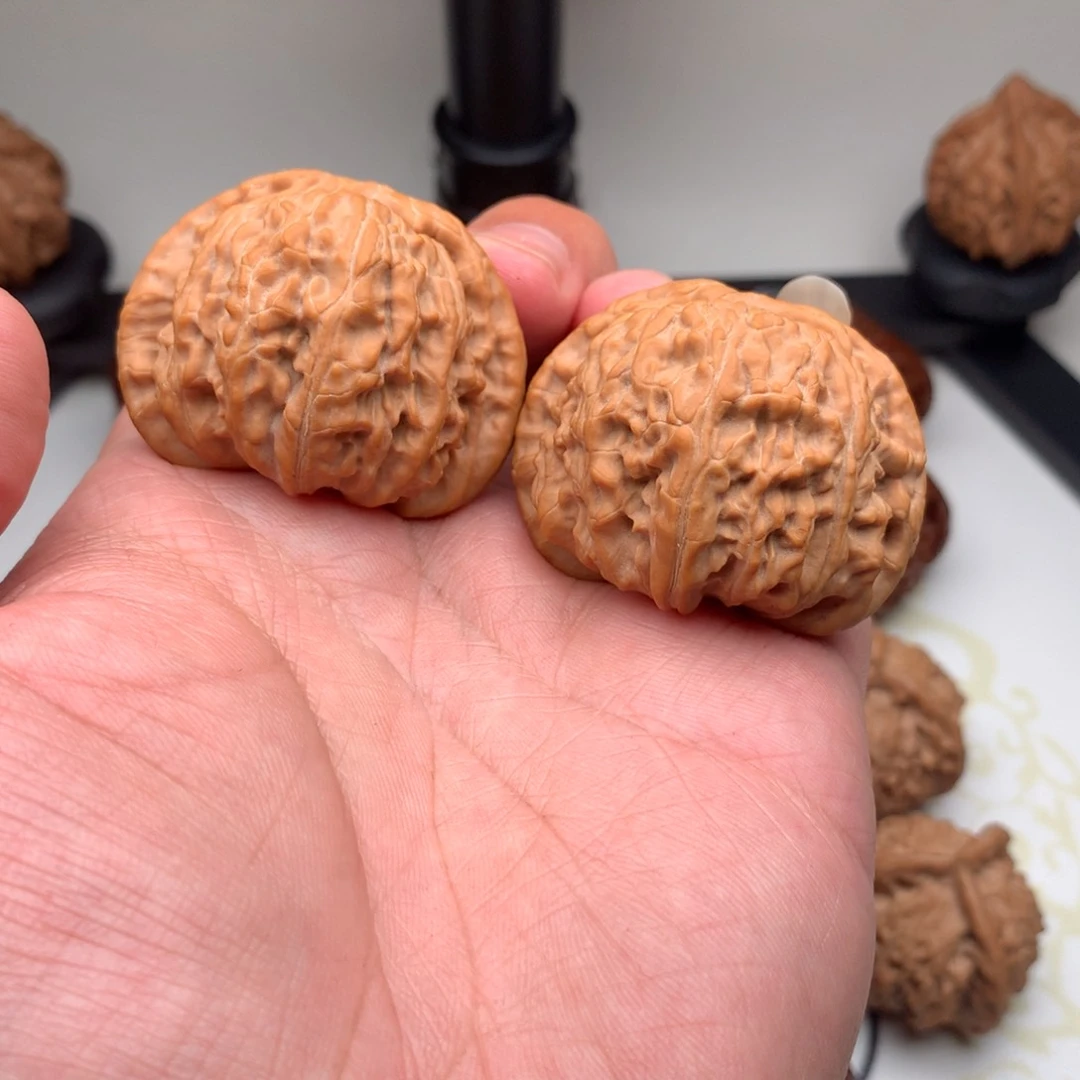 文玩核桃把件白狮子44.5