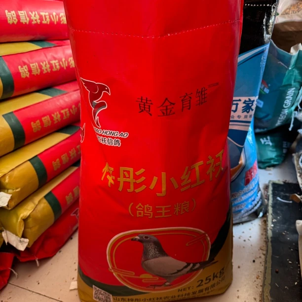 梓彤小红袄黄金育雏鸽粮
