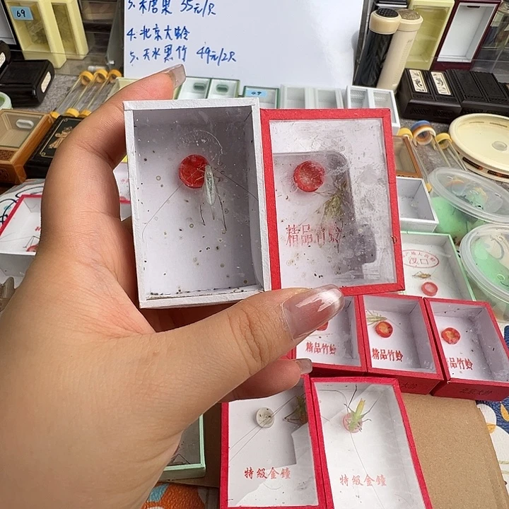 一只柬埔寨一只黑紫……