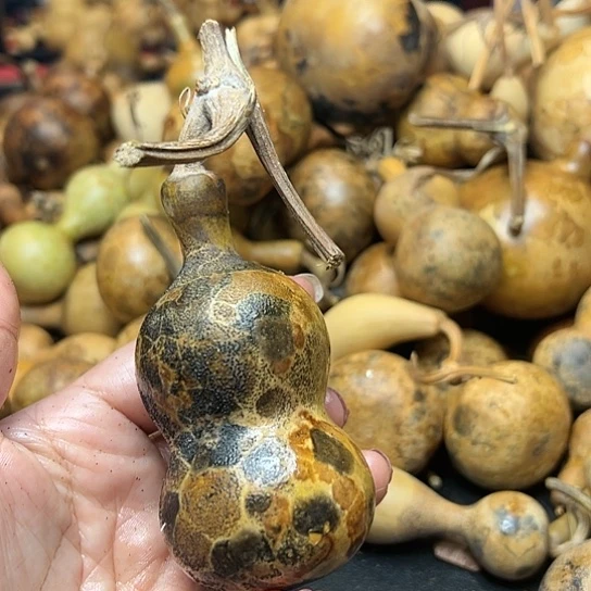 人**半葫芦葫芦葫芦葫芦户