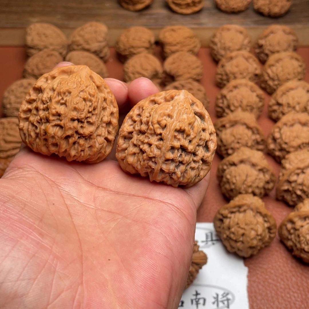 5***5大叶紫檀（黑酸枝木类）