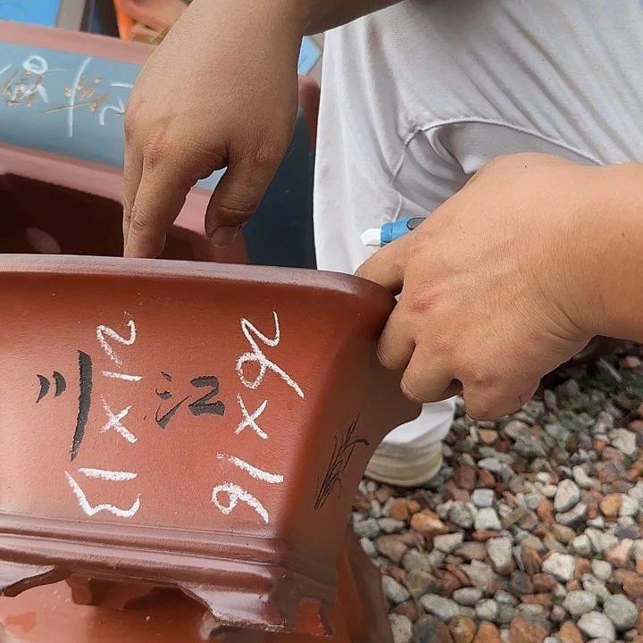紫砂花盆紫砂花盆花盆盆景盆