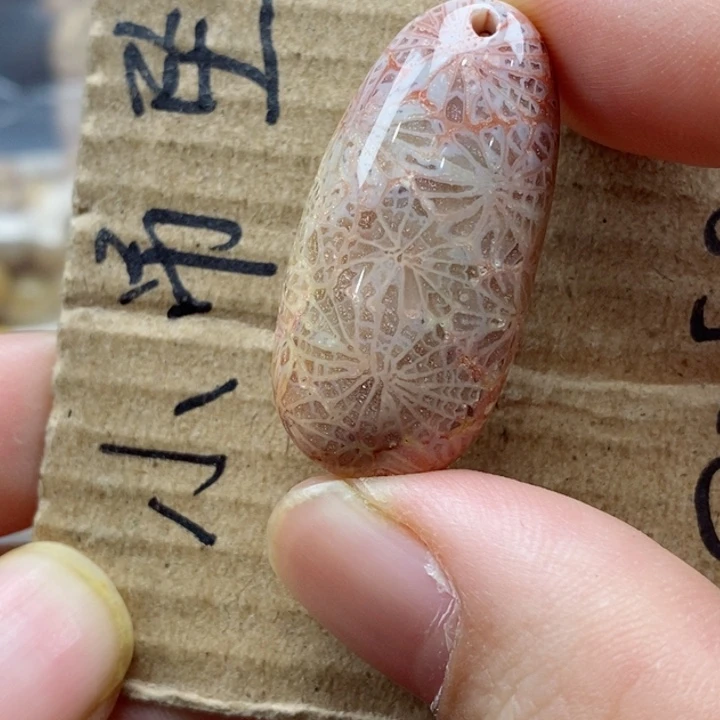 硅化珊瑚（珊瑚玉）颈饰未镶嵌