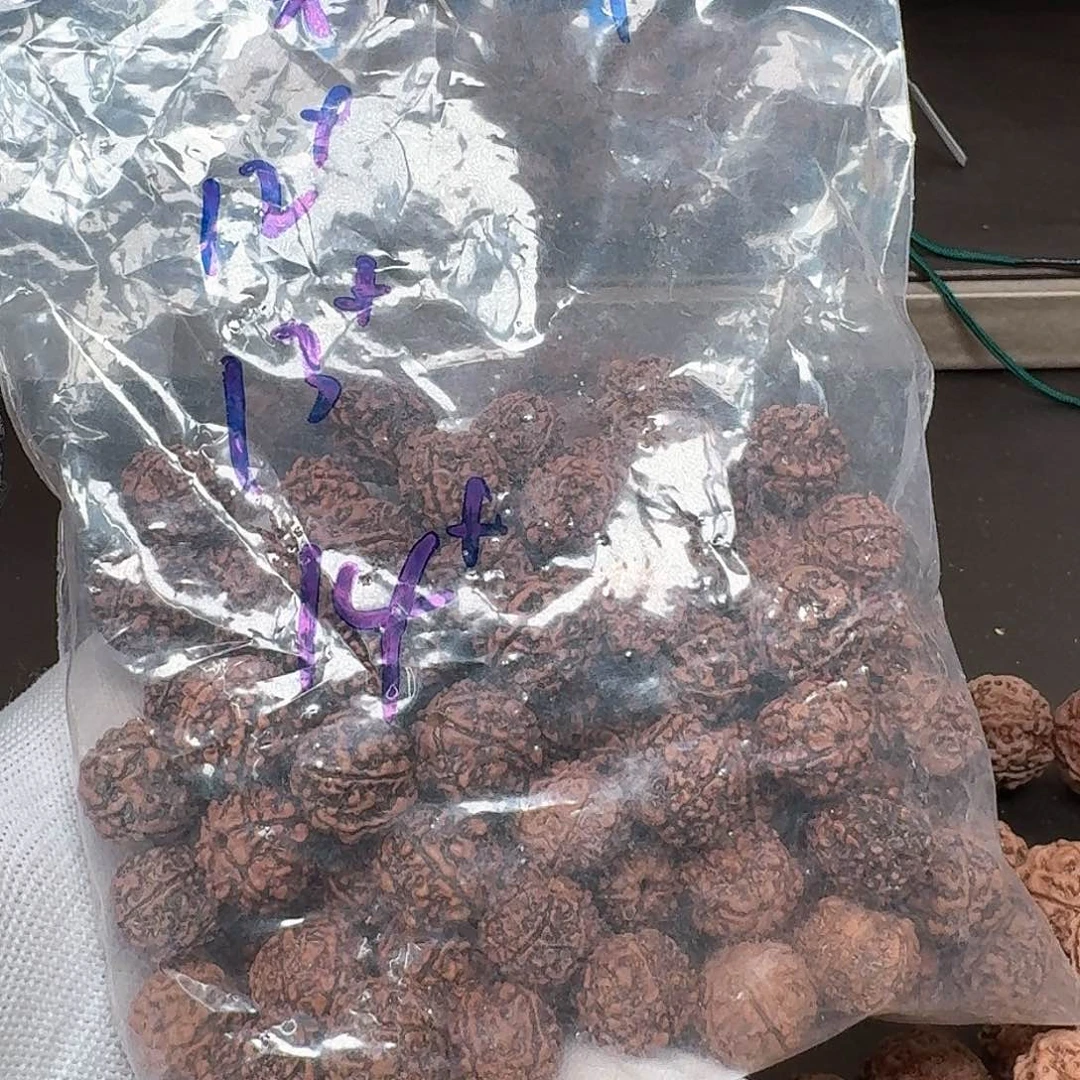 金刚菩提手串秃***丸14小刺猬六瓣（不退不换）