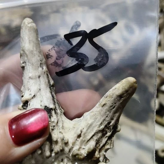 9***5铁合金花岗石鹿角鹿角鹿角鹿角鹿角鹿角