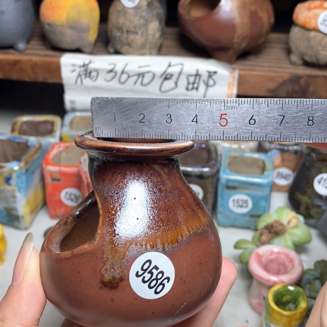 拍5送一个小礼物