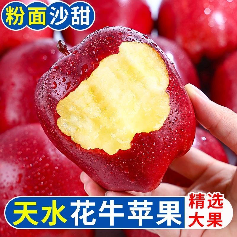 【2025年头茬新果】甘肃花牛苹果香甜多汁当季苹果新鲜应季面苹果