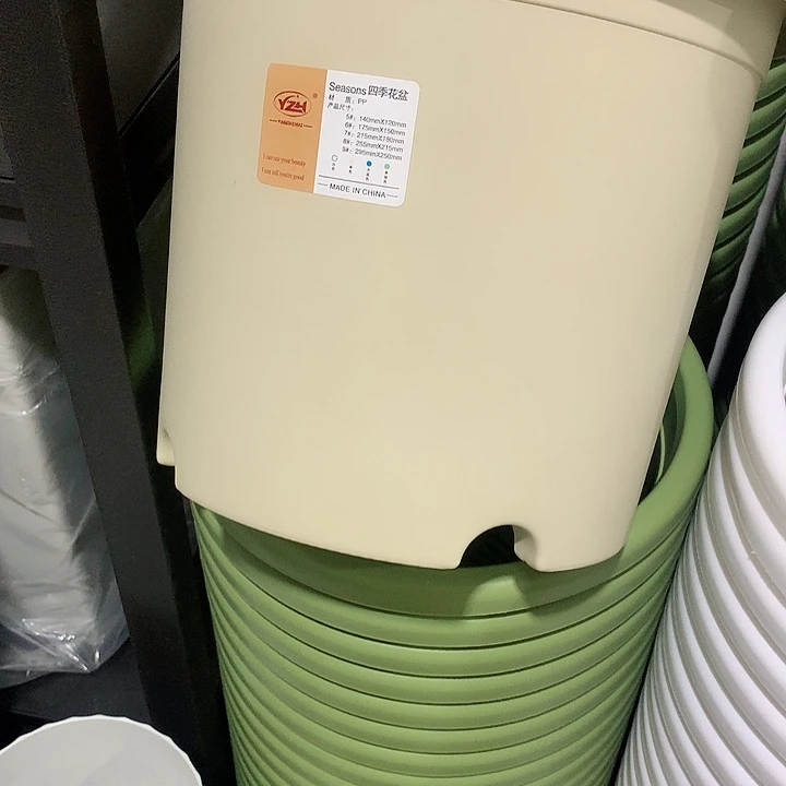 四季口29米黄5个无托