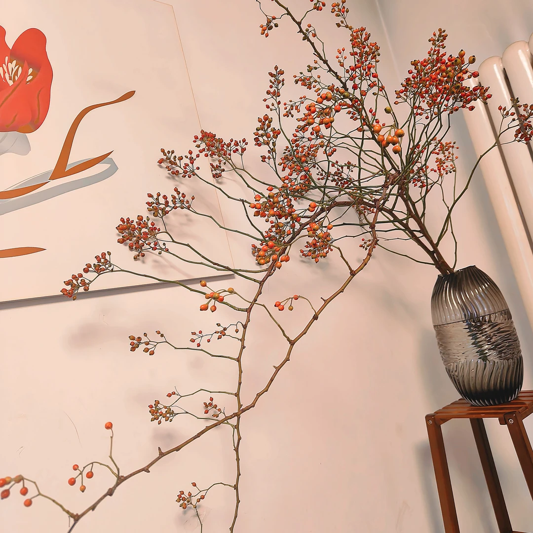 秋色有礼山归来鲜切山东发货可做干花水培家居装饰花材南天竹盆栽