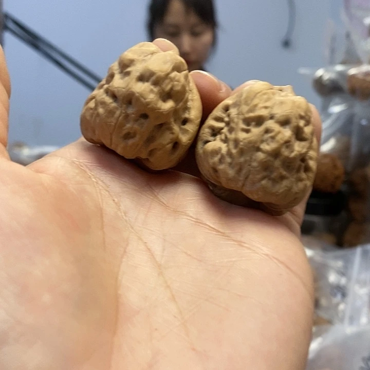 文玩核桃把件38古蝉