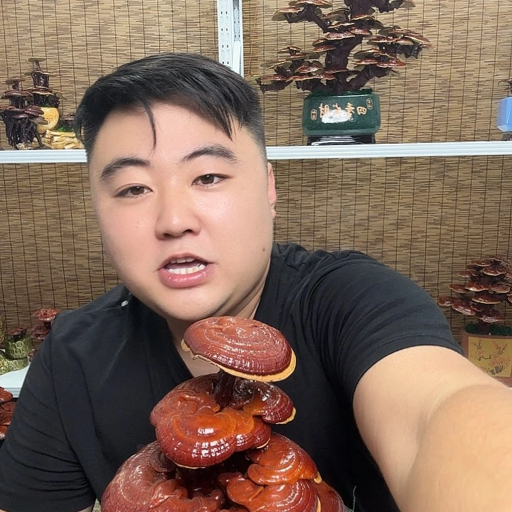 无花朵梦**膀灵芝花开了