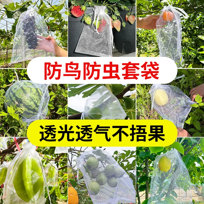 水果网套袋防虫防鸟纱网袋草莓套袋葡萄透气套袋无花果番石榴套袋