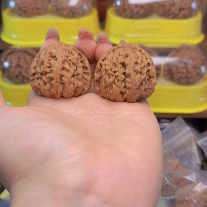 白狮子头三十八尺