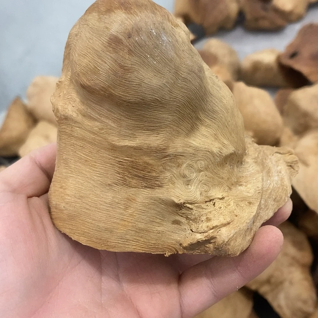 荔枝木东**人荔枝木原料