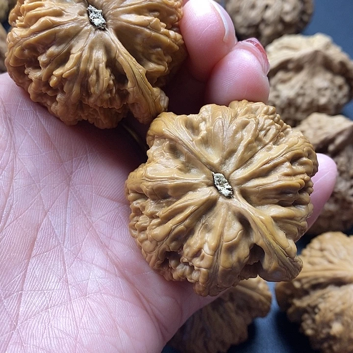 龙脊菩提吊坠粗筋51