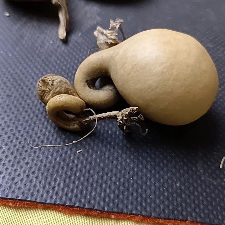 哈****酒厚皮异形葫芦厚皮